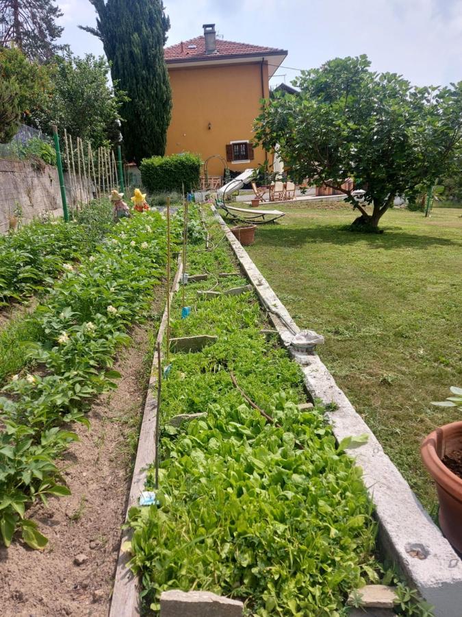 Отель Casa Dell'Agrifoglio Caselette Экстерьер фото